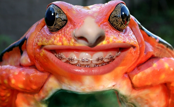 Creation of Smiling Frog: Step 6